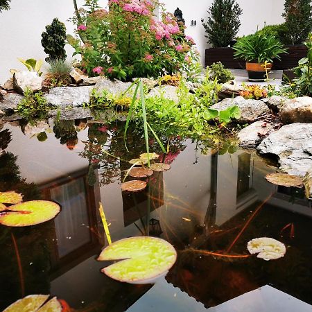 ​Gaestehaus Frans-Jozef Mönichkirchen Exteriör bild